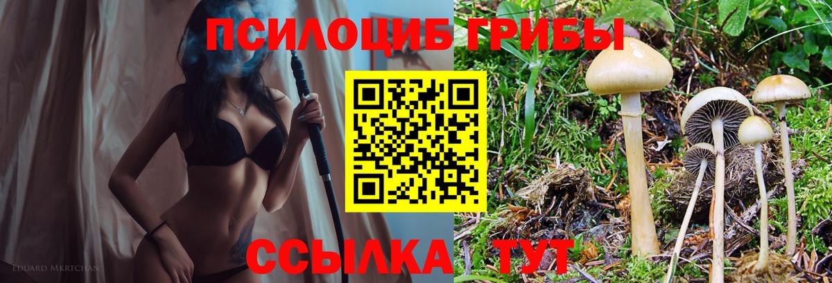 Галлюциногенные грибы MAGIC MUSHROOMS Мариинск